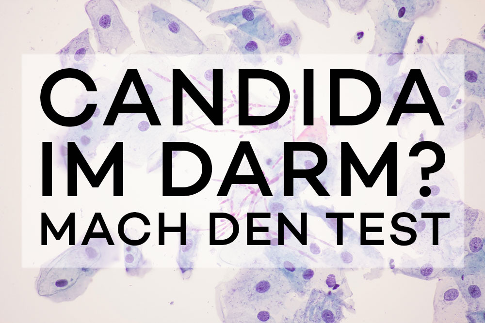 Candida im Darm? Mach den Test - Arktis BioPharma ...